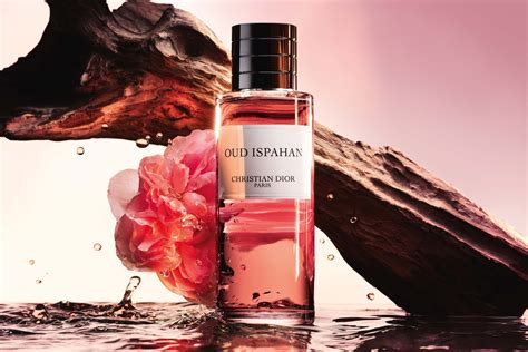 dior oud ispahan kopen|Dior oud ispahan 250ml price.